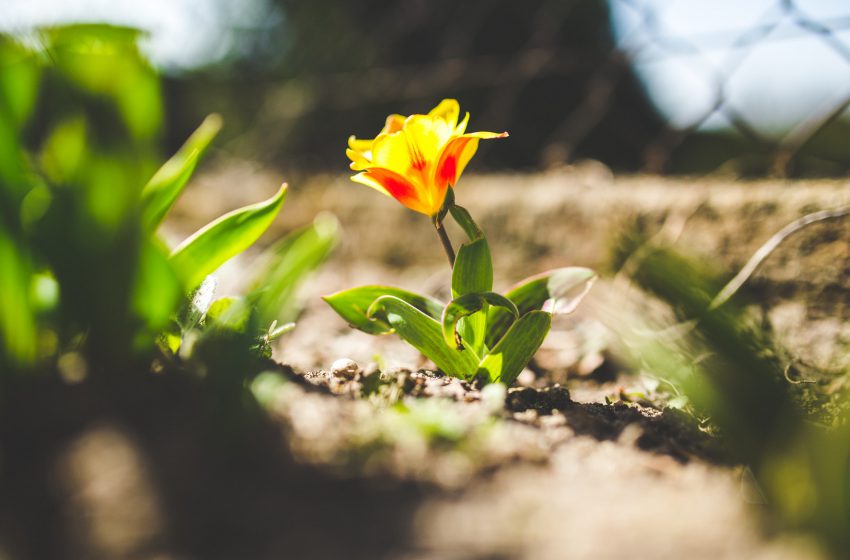  How To Continue Planning For Your Future Retirement (Safely) Throughout the COVID-19 Recession