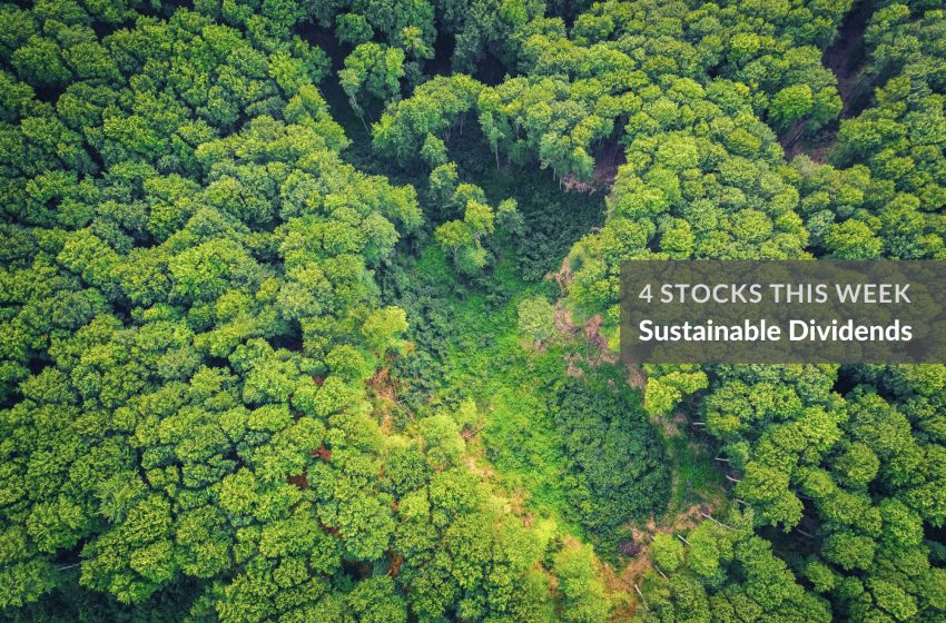  4 Stocks This Week (Sustainable Dividends) [31 July 2021] SGX; Nikko AM STI ETF; Sheng Siong; DBS/OCBC/UOB