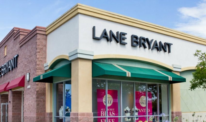  Lane Bryant Charge card Review